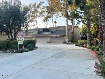 Rosewood Street, Ventura, カリフォルニア 93001, アメリカ合衆国