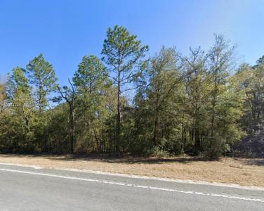 Lot 2 STR 121, Williston, Florida 32696, HOA KỲ