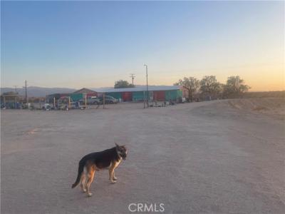 Silver Valley Road, Newberry Springs, 캘리포니아 92365, 미국