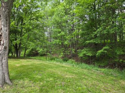 Overlook Avenue, Fallsburg, New York 12763, États-Unis
