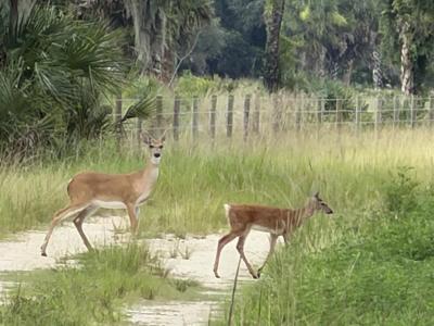 0 Co Rd 832, Clewiston, Florida 33440, Stati Uniti