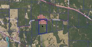 TBD 35 +/- AC VZ County Road 4814, Ben Wheeler, Texas 75754, Stati Uniti