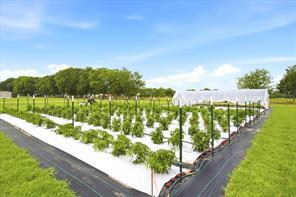 4020 FM 515, Emory, Texas 75440, HOA KỲ