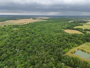 Tract 9 County Road 2158, Cooper, تكساس 75432, الولايات المتحدة