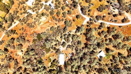 Cougar Lane, Georgetown, Kalifornien 95634, USA