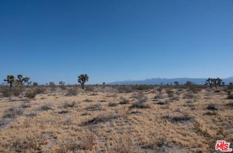 Middleton, Adelanto, Californie 92301, États-Unis