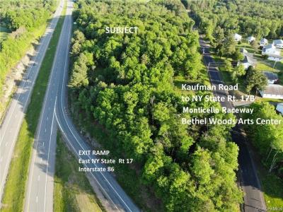 Lot 5.4 Kaufman Road, Thompson, 纽约州 12701, 美国