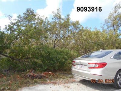 27334 Saint Lucie Ln, Big Pine, Florida 33042, Amerika Birleşik Devletleri