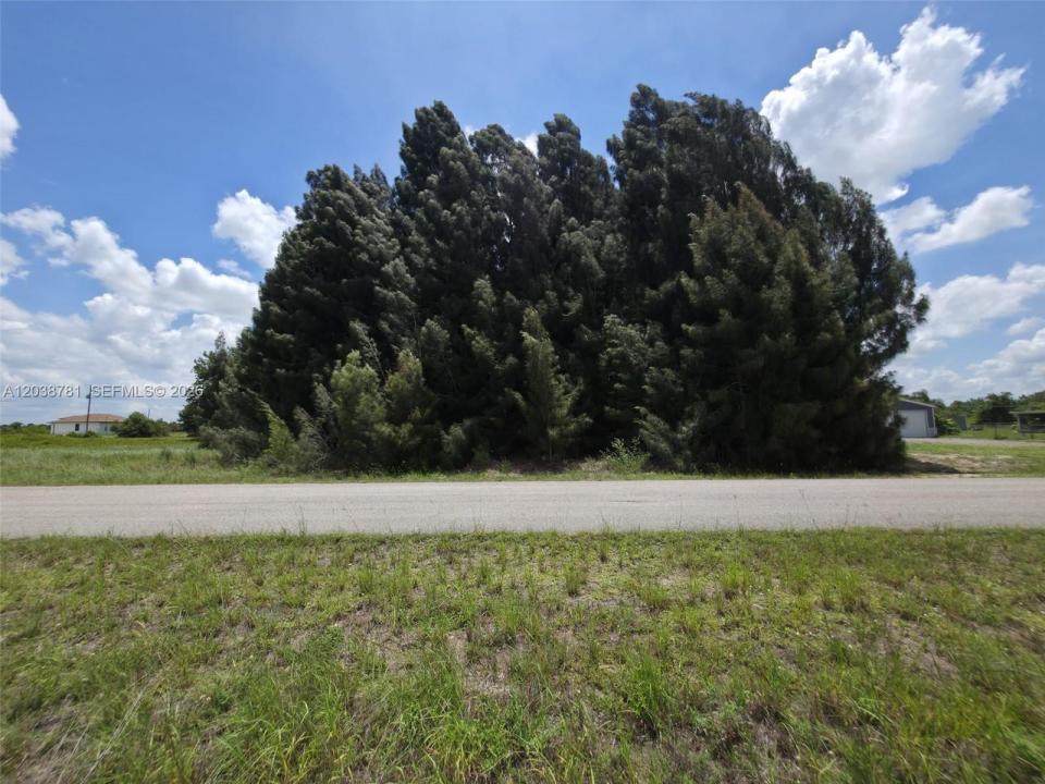 1616 LOUIS AVE, Lehigh Acres, Florida 33972, USA