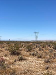 195th, Black Butte, Californie 93591, États-Unis