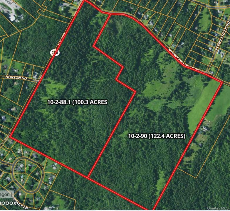 Rte 208, Blooming Grove, New York 10914, Stati Uniti