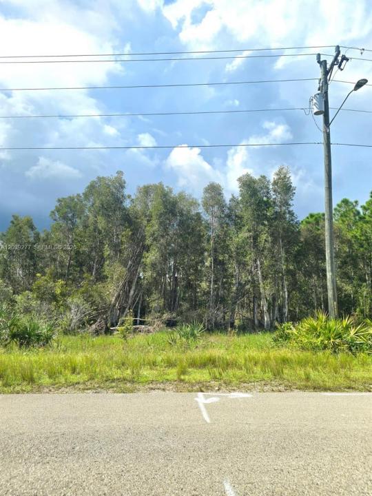 2650 Meadow RD, Lehigh Acres, Floride 33974, États-Unis