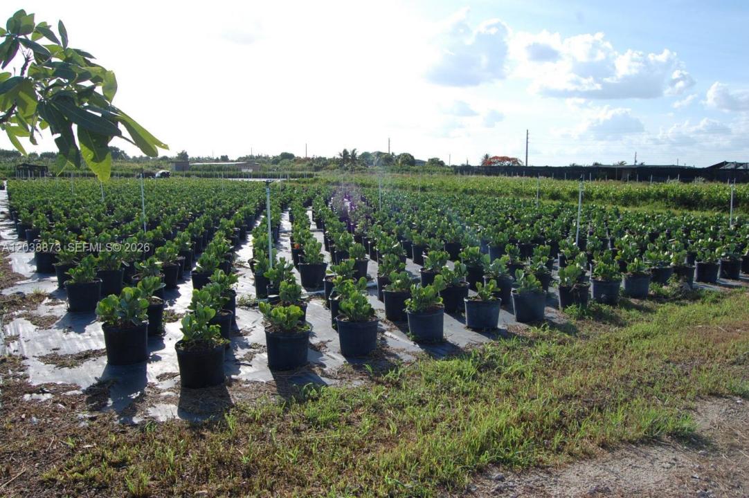13648 SW 177 ave, Homestead, Floride 33196, États-Unis