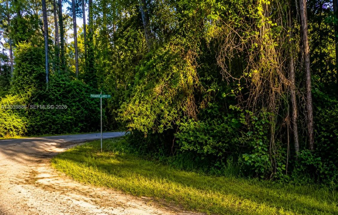 Florida 32139, Stati Uniti
