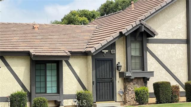 Loro Verde, Loma Linda, Kalifornien 92354, USA