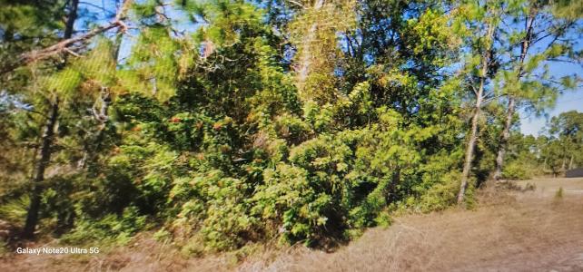 1023 Acacia Avenue, Lehigh Acres, Florida 33972