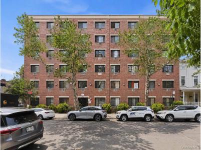 3961 Carpenter Avenue, New York, New York 10466