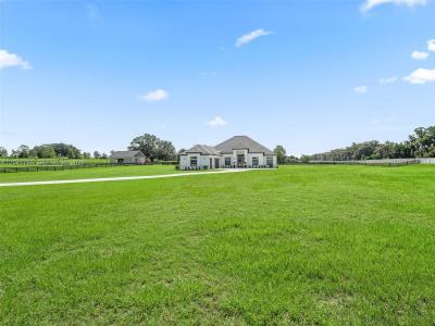 7041 NE 22nd Court Rd, Ocala, Floride 34479, États-Unis