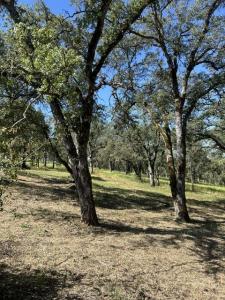 Firth Way, El Dorado Hills, Californie 95762, États-Unis