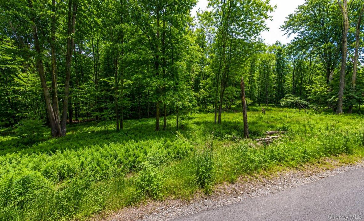 135 Rose Valley, Thompson, New York 12701, USA