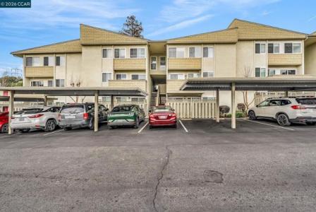 Cole Ave, Walnut Creek, Califórnia 94596, Estados Unidos