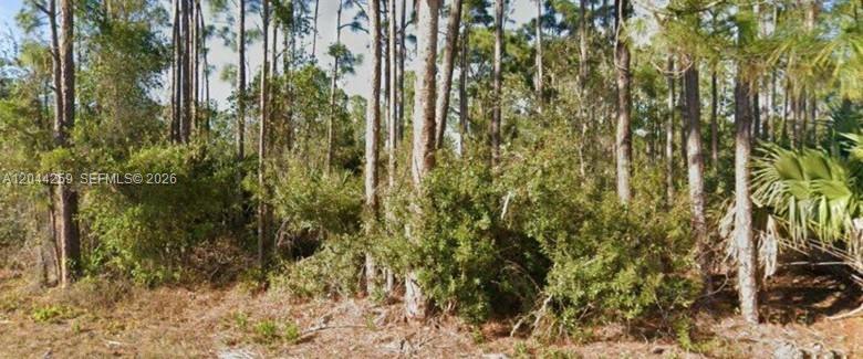 26442 Scham Rd, Punta Gorda, Florida 33955, Stati Uniti