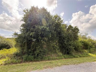625 N GRANJA ST, Clewiston, Florida 33440, USA