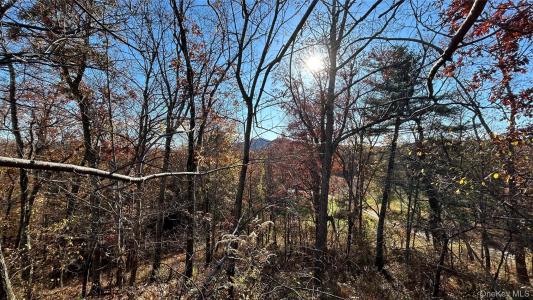66 Ryan Road, Pine Plains, New York 12567, Stati Uniti
