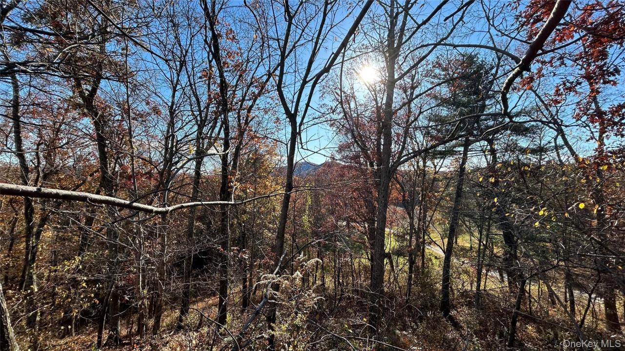 66 Ryan Road, Pine Plains, New York 12567, HOA KỲ