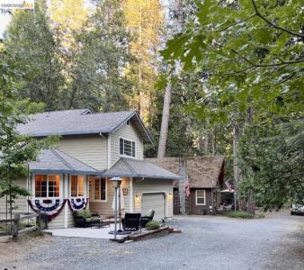 Fireside DR, Twain Harte, Californie 95383, États-Unis
