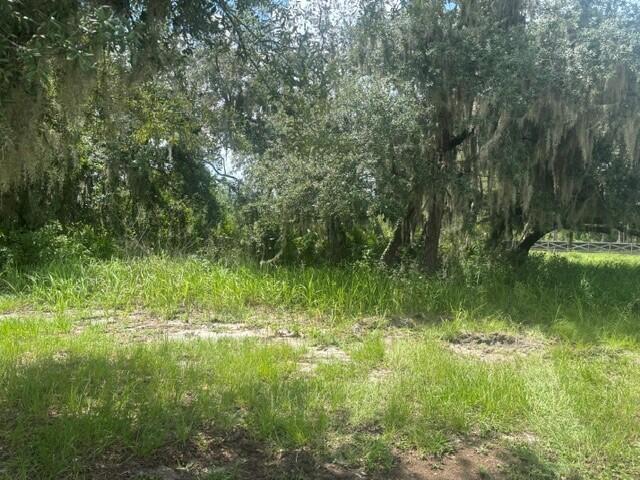 0 Old Stokes Road, Frostproof, Florida 33843, USA