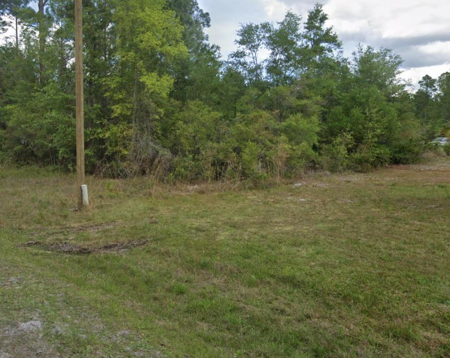 000 Roebuck Street, Georgetown, Florida 32139, Stati Uniti