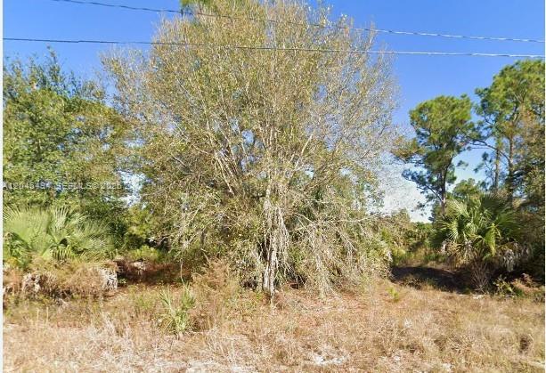 3602 63rd St W, Lehigh Acres, Florida 33971, USA