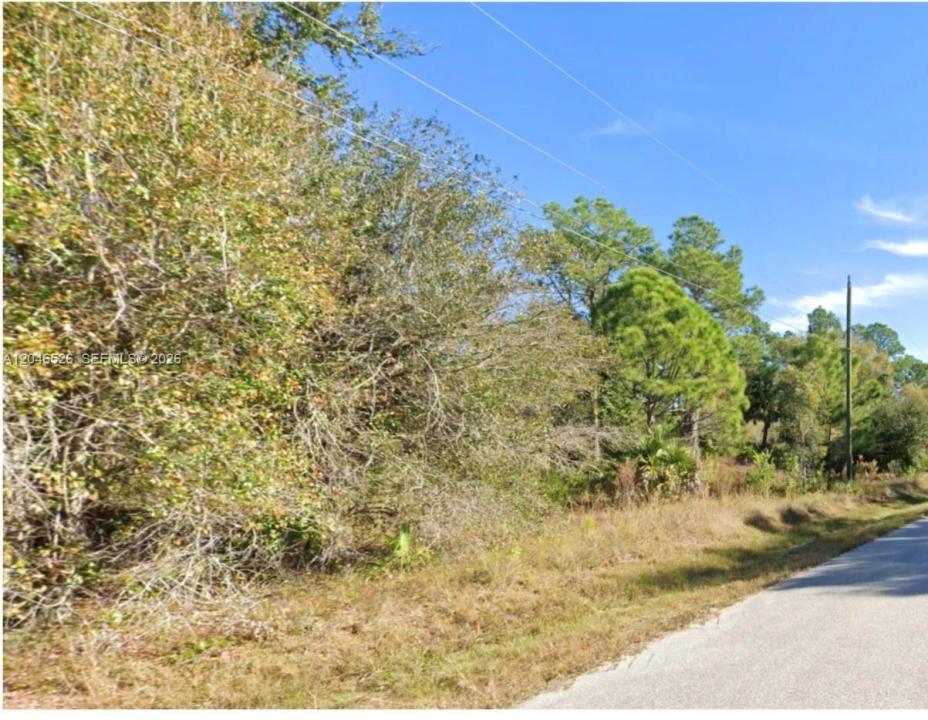 3604 63rd ST, Lehigh Acres, Florida 33971, Stati Uniti