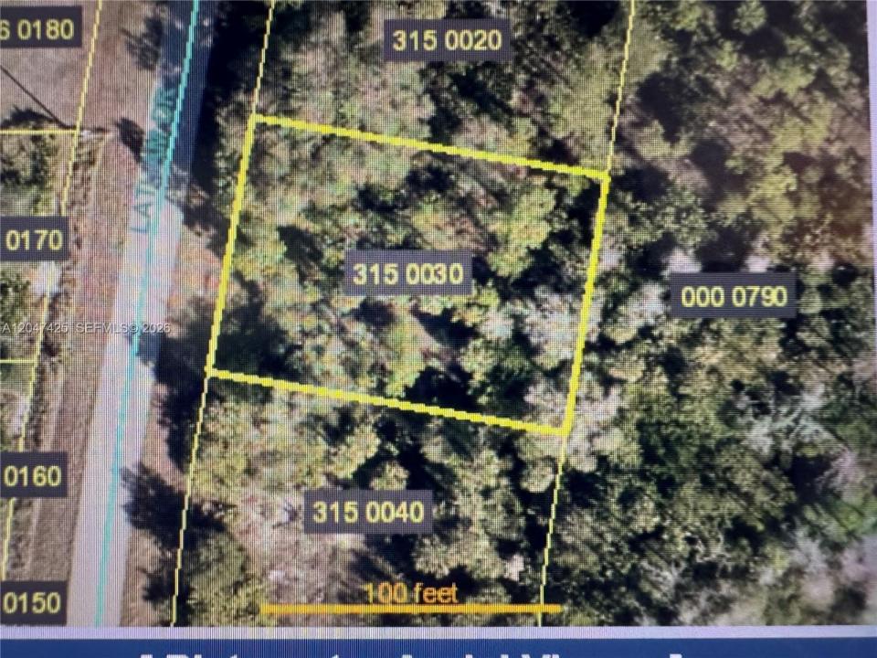1831 Mobile, Lehigh Acres, Florida 33972, Stati Uniti