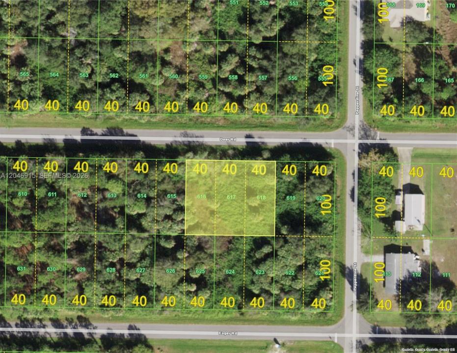 26397 Deer Rd, Punta Gorda, Florida 33955, Stati Uniti