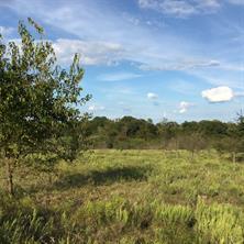 1821 State Highway 309, Kerens, Texas 75144, USA