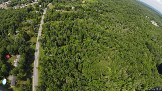 Co Hway 158, Fallsburg, New York 12733, États-Unis