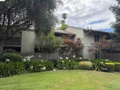 WALNUT BLVD., Walnut Creek, Califórnia 94596-9999, Estados Unidos