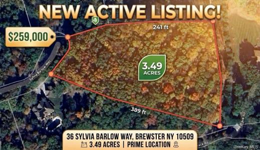 36 Sylvia Barlow Way, Sud- Est, New York 10509, Stati Uniti