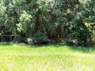 6209 Aquavista Drive, Sebring, Florida 33876, USA