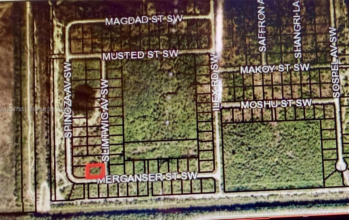 Merganser St SW & Slimtwig Ave, Palm Bay, Florida 32908, USA