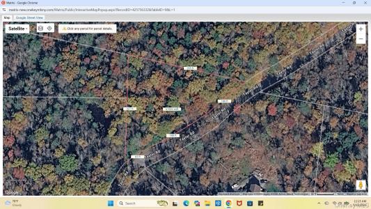 Taylor Road, Fallsburg, New York 12763, Stati Uniti