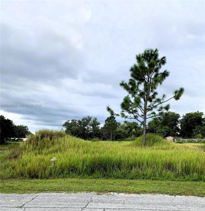 531 St Johns Ct, Kissimmee, FL 34759, Poinciana, 플로리다 34759, 미국