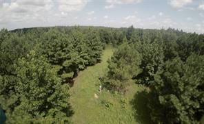 CR 1640, Jefferson, Texas 75657, Stati Uniti