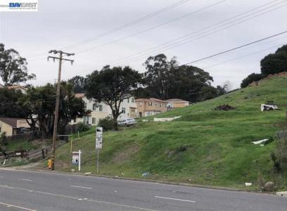 Hayward Blvd, Hayward, California 94542, Stati Uniti
