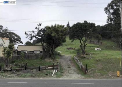 Hayward Blvd, Hayward, California 94542, Stati Uniti