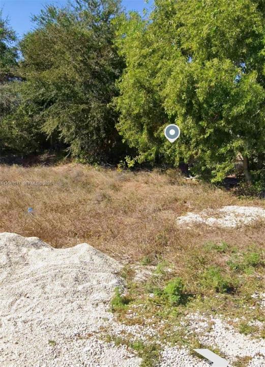 2908 Donald Ave S, Lehigh Acres, פלורידה 33976, ארצות הברית של אמריקה