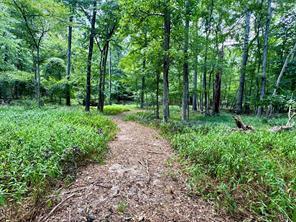 E 2133 Holly Trail, Holly Lake Ranch, Texas 75765, États-Unis