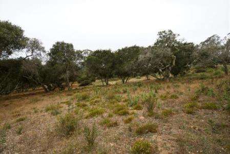 Valle Pacifico Road, Salinas, Californie 93907, États-Unis
